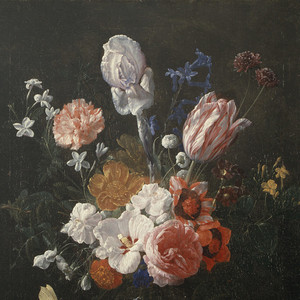 女人添荫蒂视频观看
