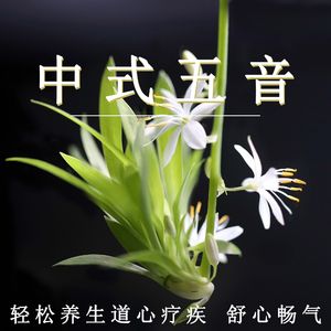 女人添荫蒂视频观看
